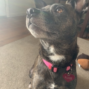 Fundraising Page: Roxie Kelly